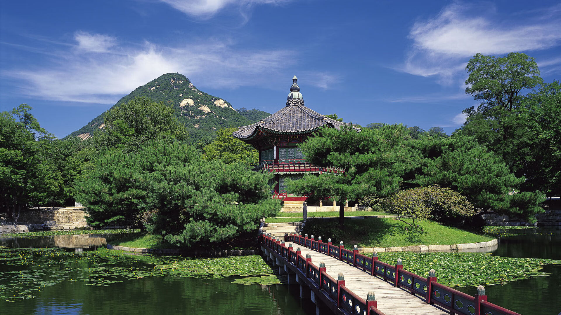 国足替补球员场均贡献度对比，国足替补门将