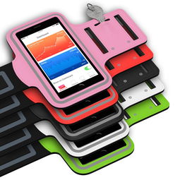 -智能体育设备用户行为分析，智能体育设施