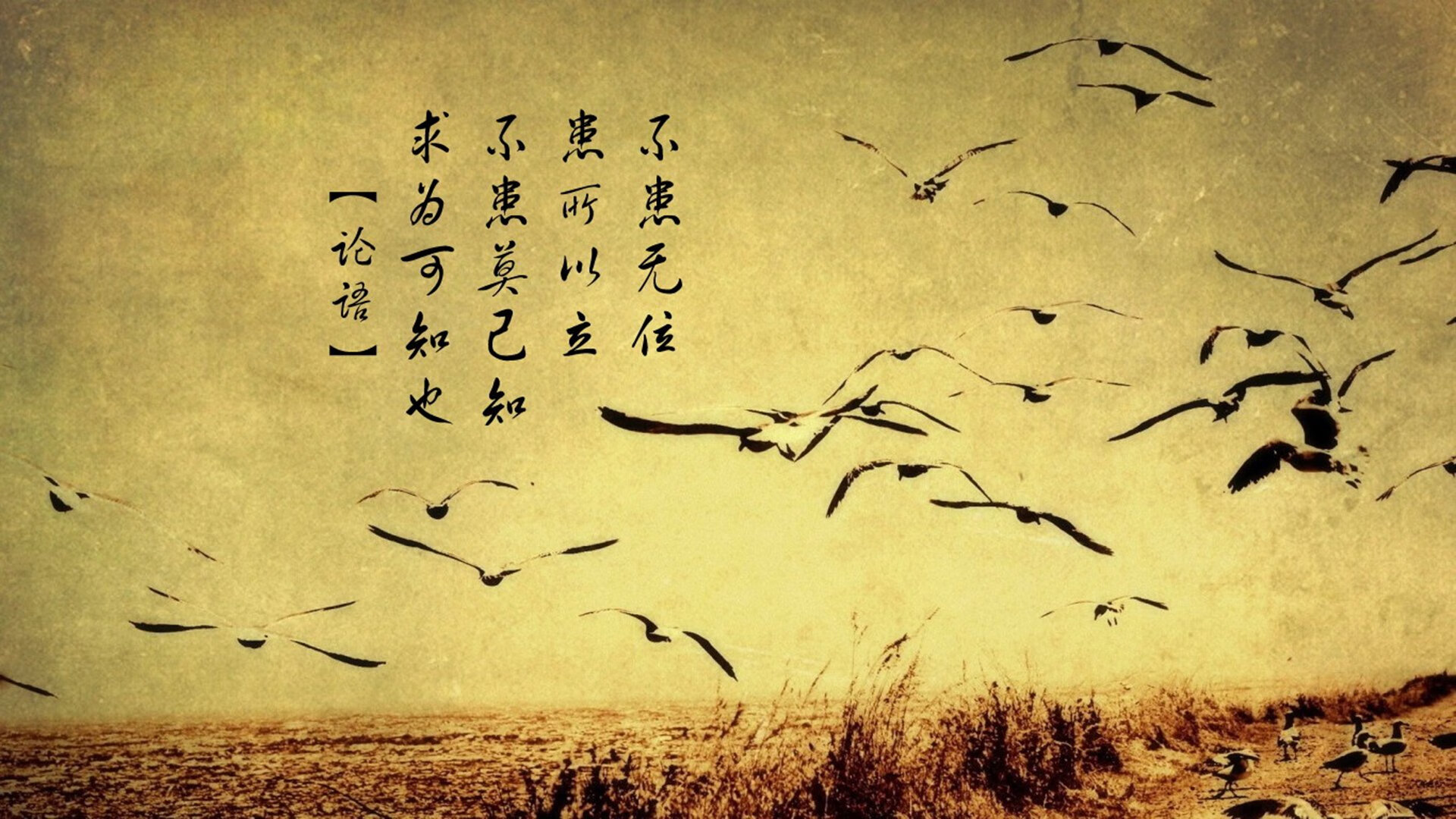 中国三人篮球女队不断突破技战术极限，中国篮球女子三人