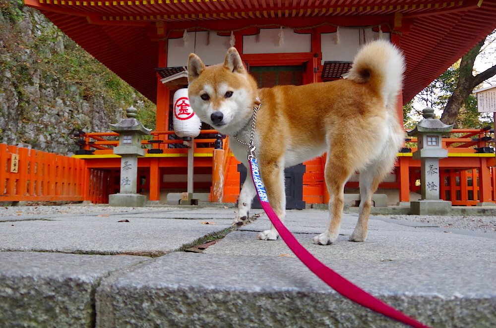 亚洲杯中国青年队战败 球员经验不足暴露，青年队 亚冠