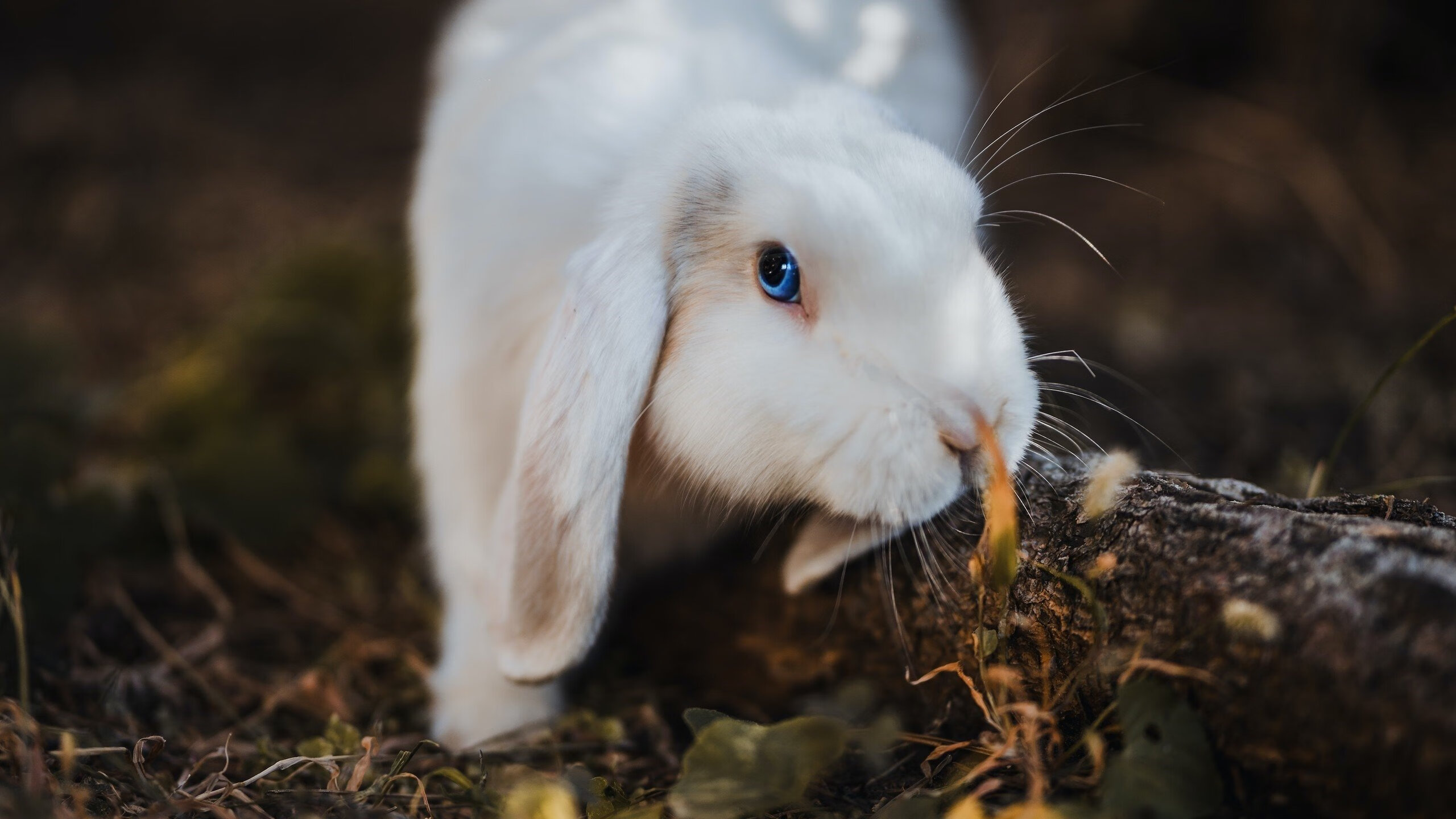 体育新闻中心发布体育社群运营策略研究成果，体育社团公众号