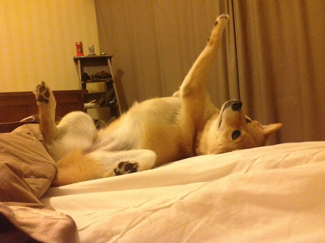 成都誓师百日冲刺，世运进入决战阶段