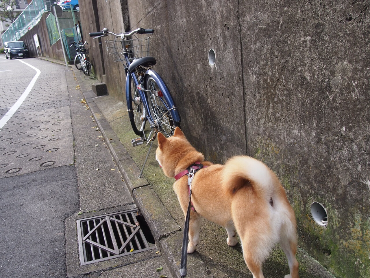 联盟中最会压时间的球队是哪些，英雄联盟压制有哪些