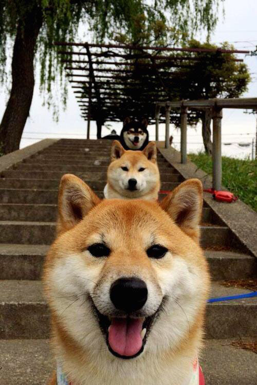 九游娱乐(jiuyou)官方网站-青少年篮球选拔赛纳入国家人才数据库，2021年全国青少年篮球竞赛计划