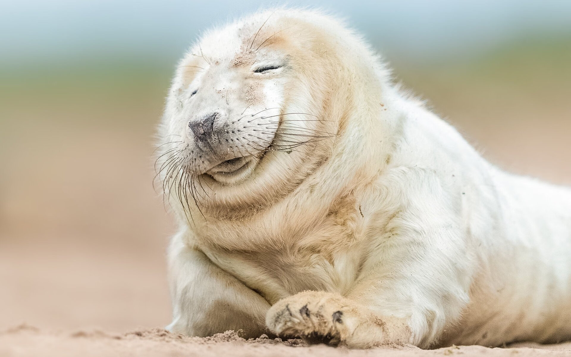 东南亚篮球运动盛会，泰国队、菲律宾队精彩对决不断，东南亚超级联赛篮球