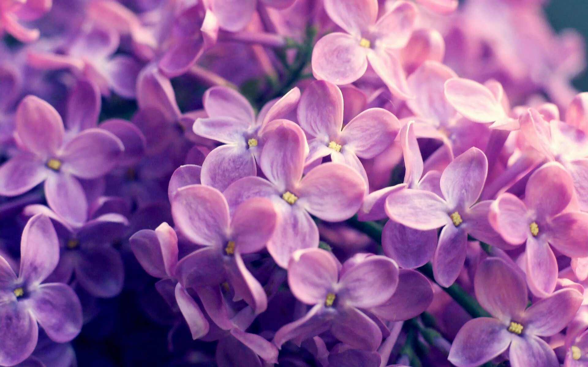 中国篮球打造专业教练培训平台提升教学质量，篮球教练培训基地