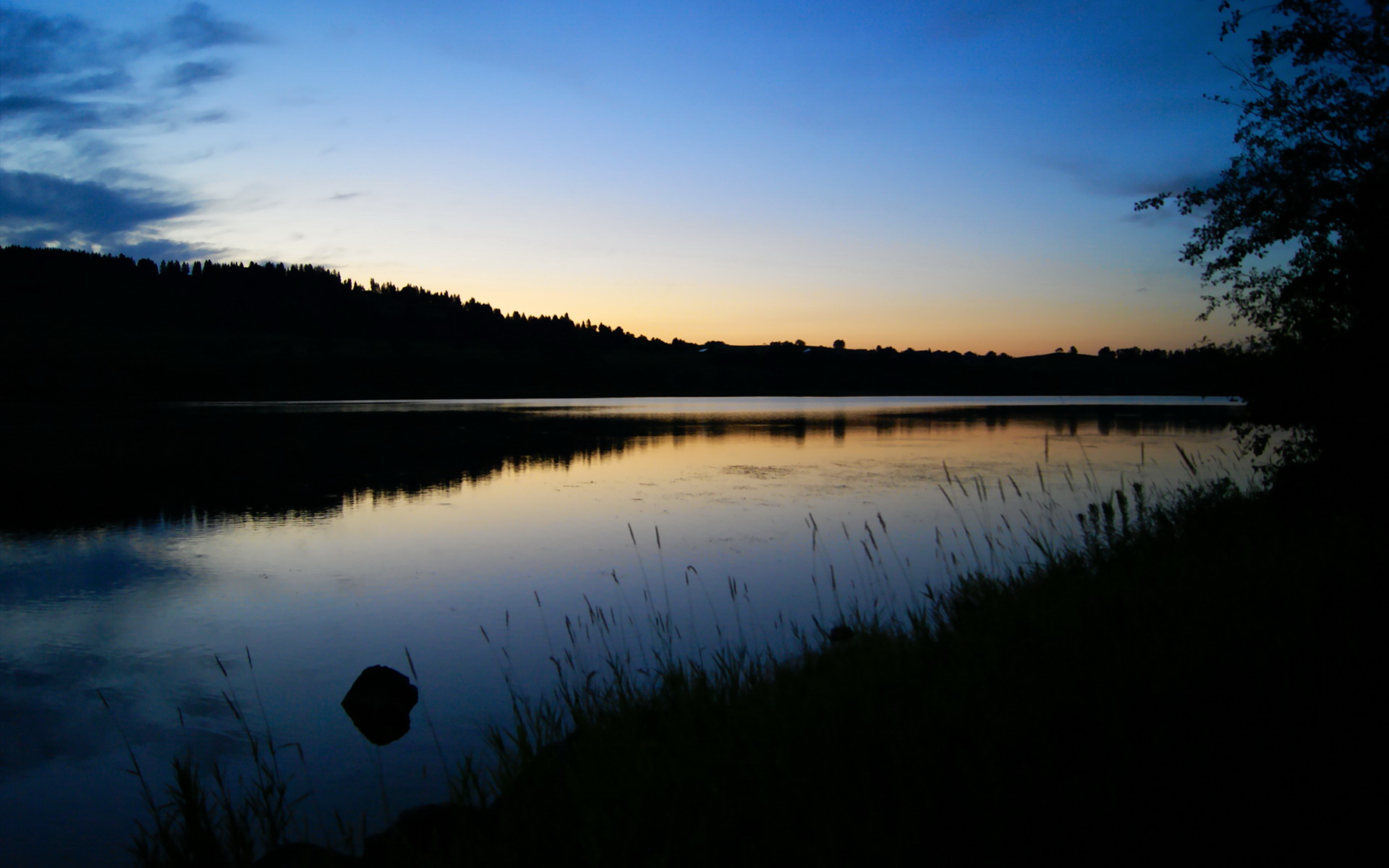 九游登录中心-中立代表队B接力表现彰显团队精神