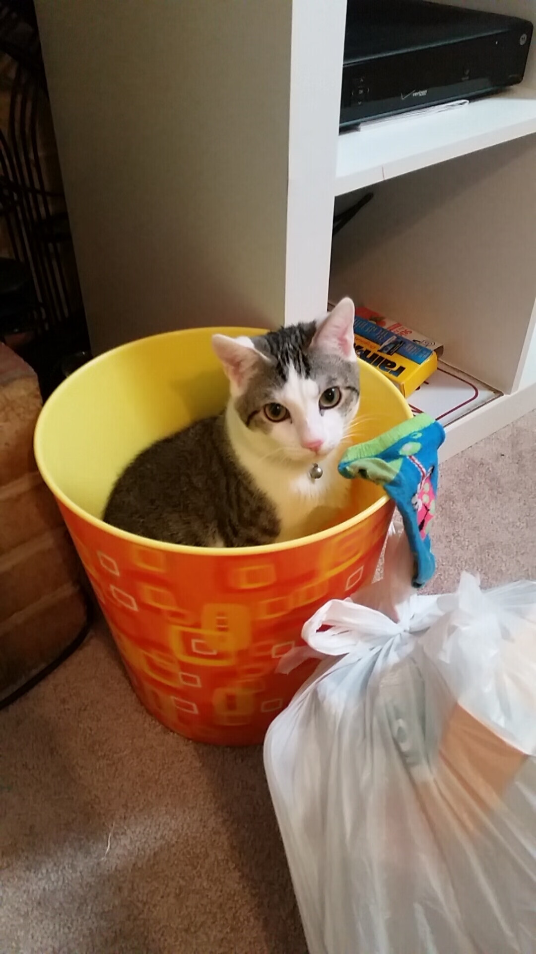 体育大数据平台正式上线提供实时比赛图表分析，体育大数据中心