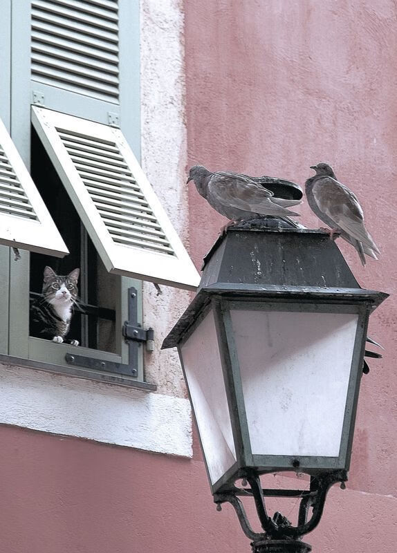 国际足球交流赛吸引大量国际媒体关注，国际足球交流赛吸引大量国际媒体关注的原因