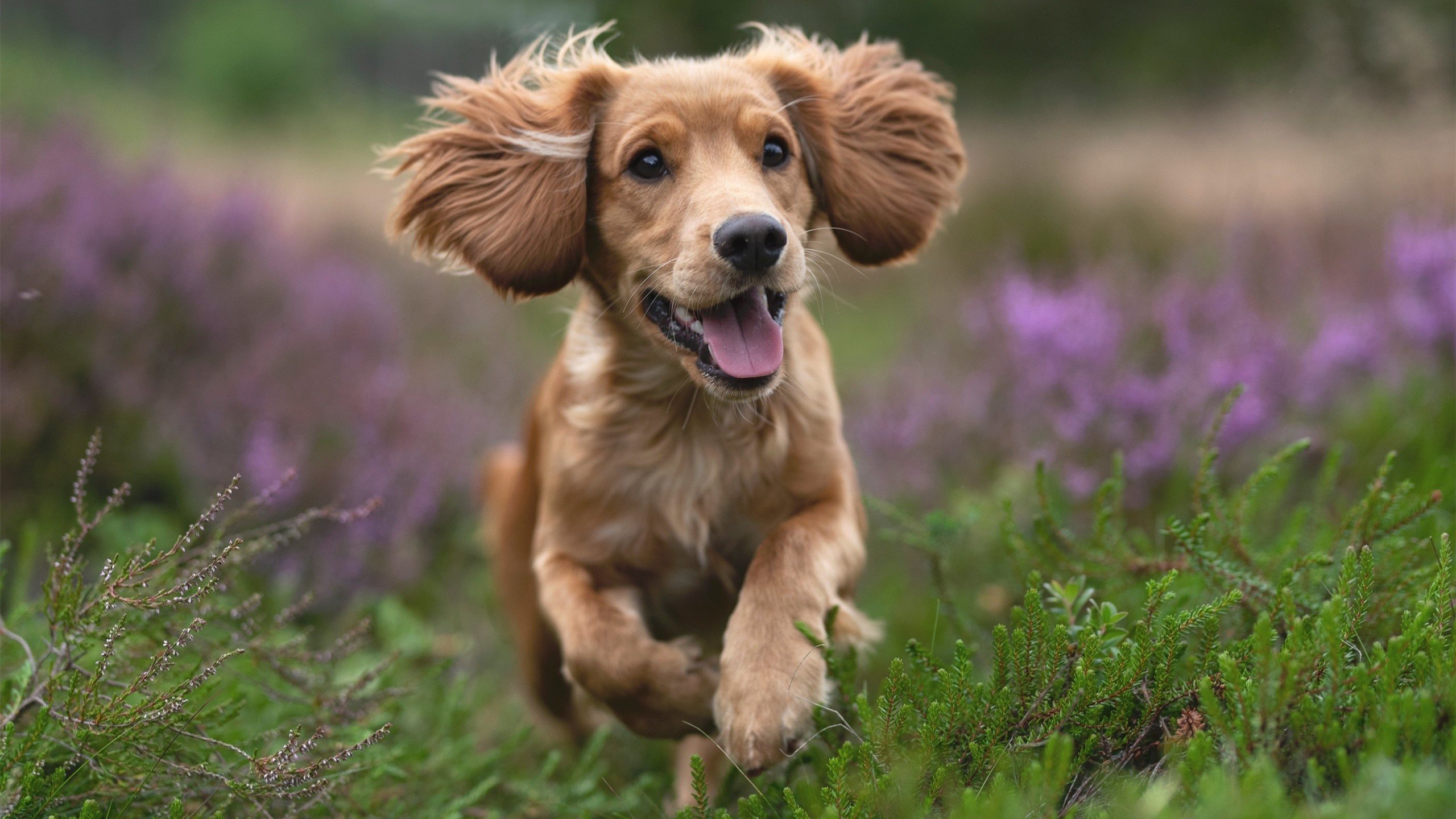 女子国家队加强门将专项训练提升比赛安全感,女子国家队队员