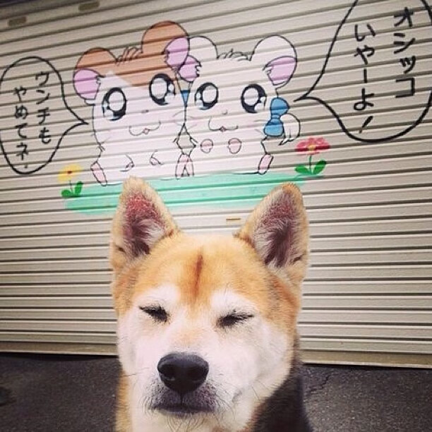 巴西队在南美预赛中保持领先，晋级几乎无忧