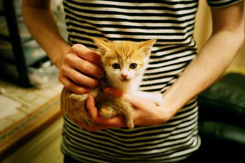 特色足球文化节创新体验项目丰富，吸引大量游客，足球文化节活动