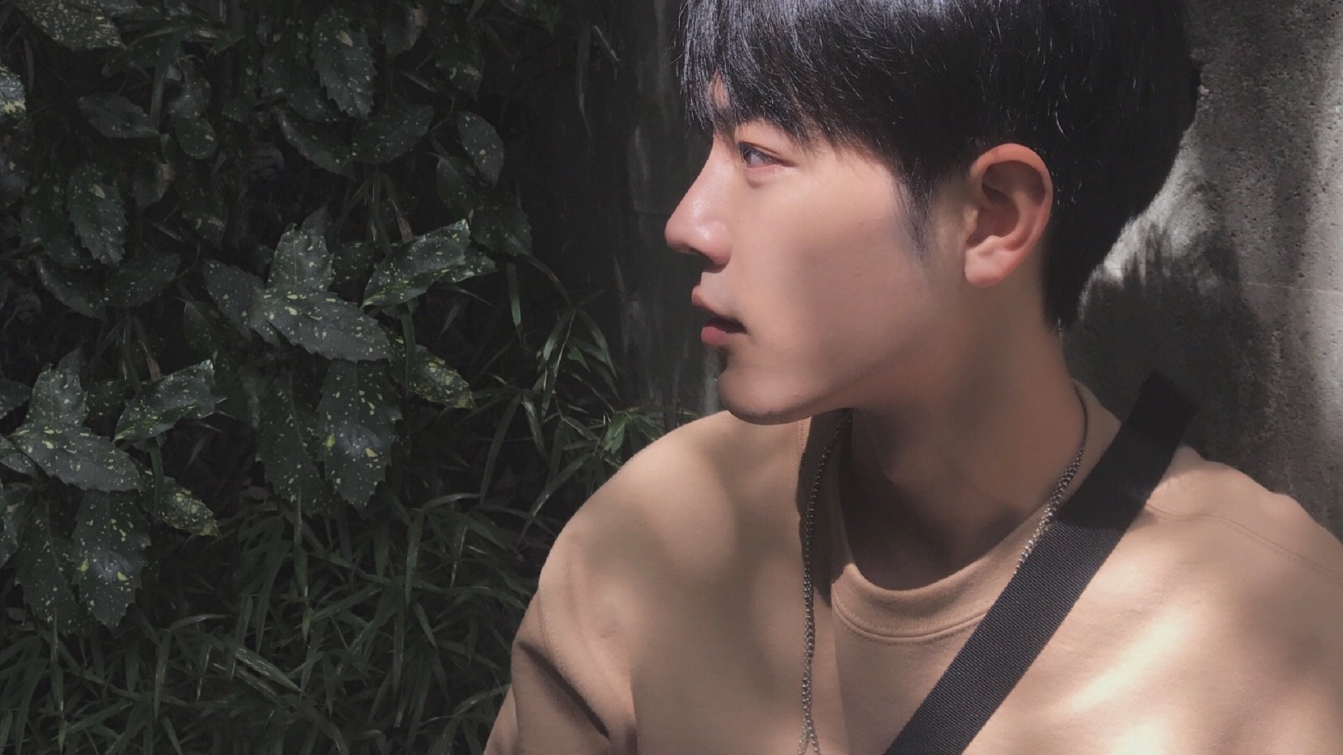 篮球特色学校建设步伐加快覆盖多个地区，全国篮球特色学校有什么好处