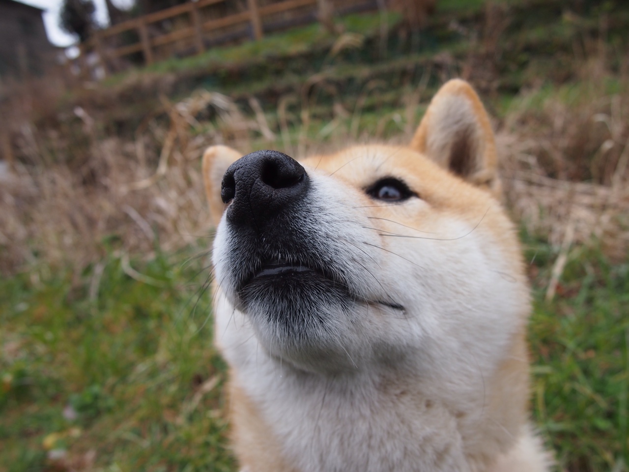 中国足球是否引导裁判建立职业荣誉成长通道，中国足球裁判员官网