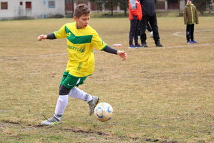 九游娱乐官网 (JIUYOU)-中国足球联赛推动足球文化建设，中国足球产业与文化发展报告